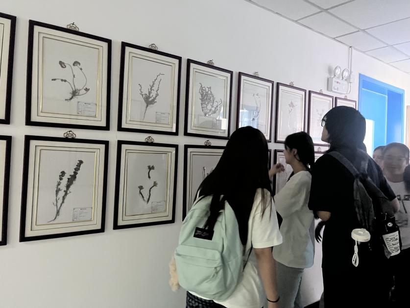 5ef7d0ddd30c5fab476f21cd4f9d877