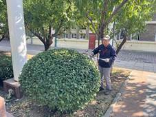 fb9de17d73062fa18ee3173384bdd21