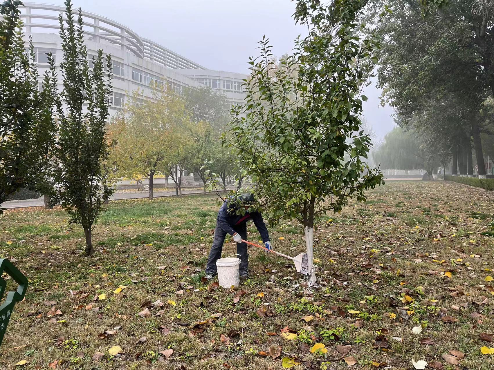 10de96d46202a63dd7e1d36ddf74182