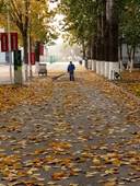 80f7b72c5bbadd6b530f2ea4d23b9fb