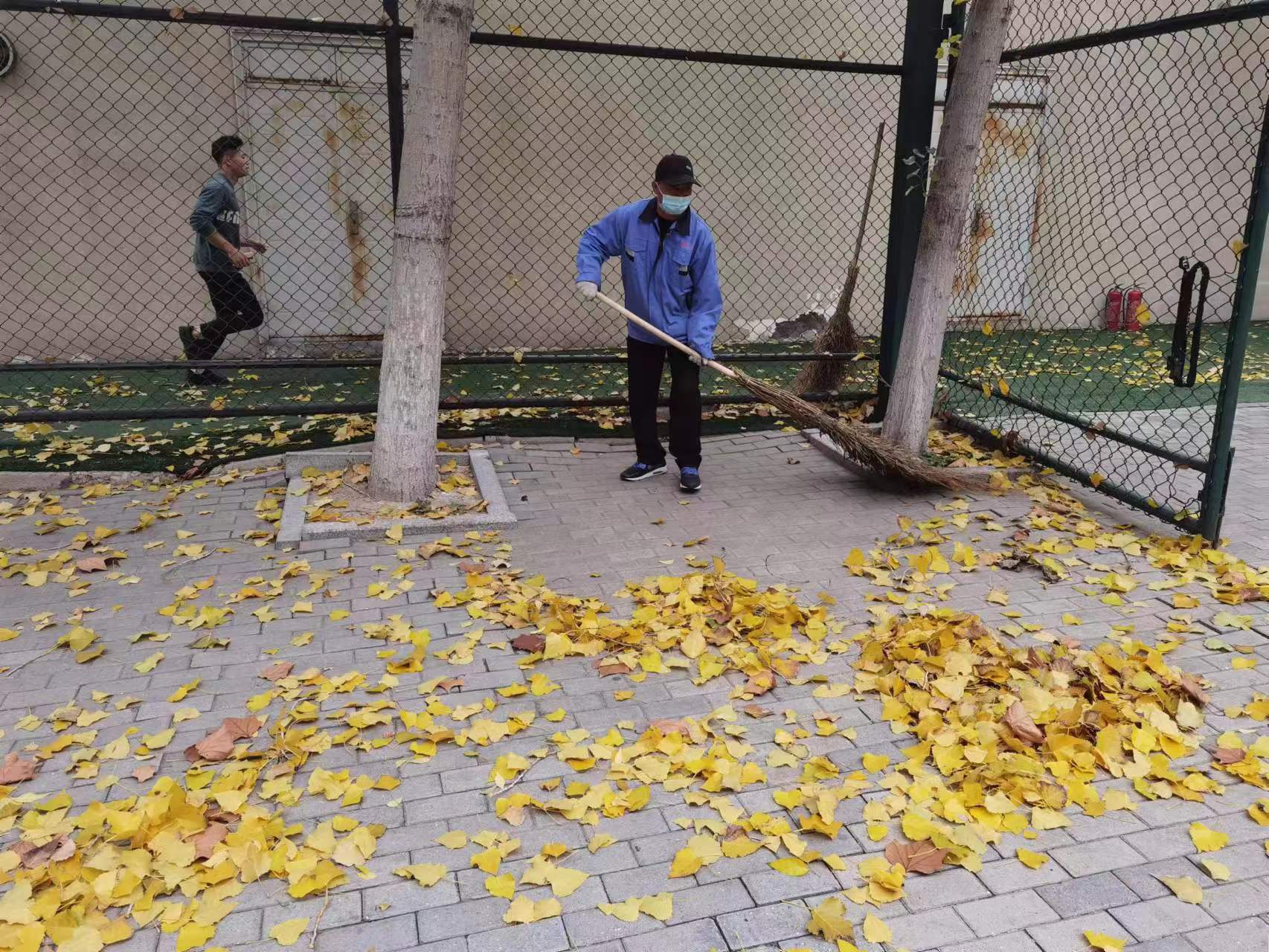 081f0241ff4ace276592a5b9ed8b97e