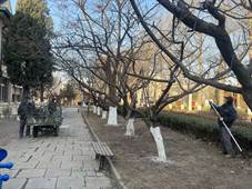 934c5e230e2fd6d551cb56868a5779a