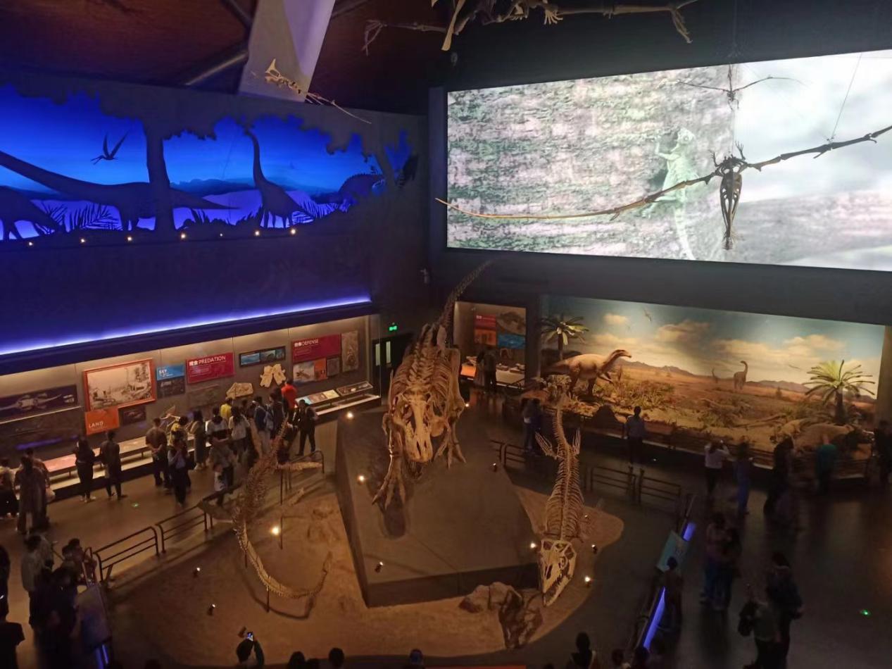 954d711336f2378ec7e40af42d366af