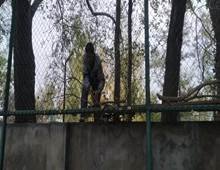 697aa31836b0785be23edee0cbb3ff5