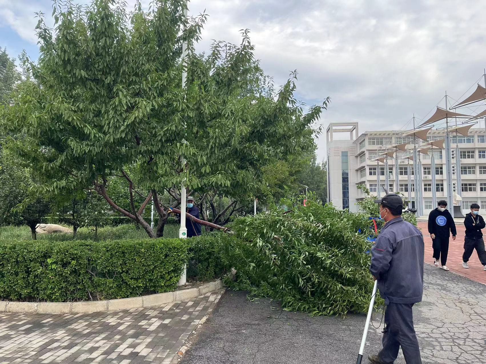 442ae2e5e66e5b93506fa4efd5eb168