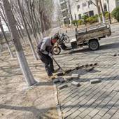 433bcf9bf5a995631f3ea01825f21f8